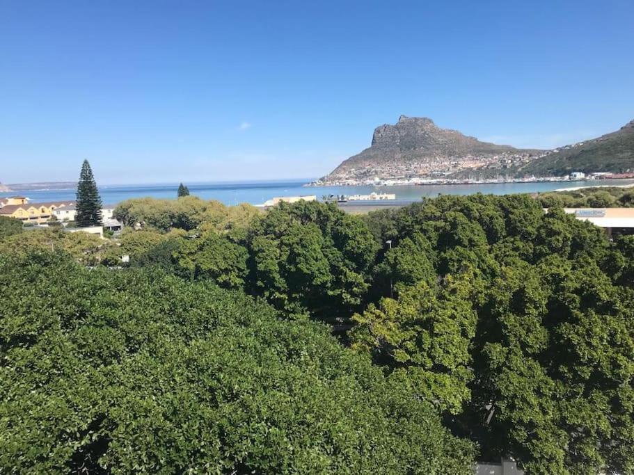 Chapman'S Peak, Loft Mit Sea-Und Mountainview Lägenhet Hout Bay Exteriör bild
