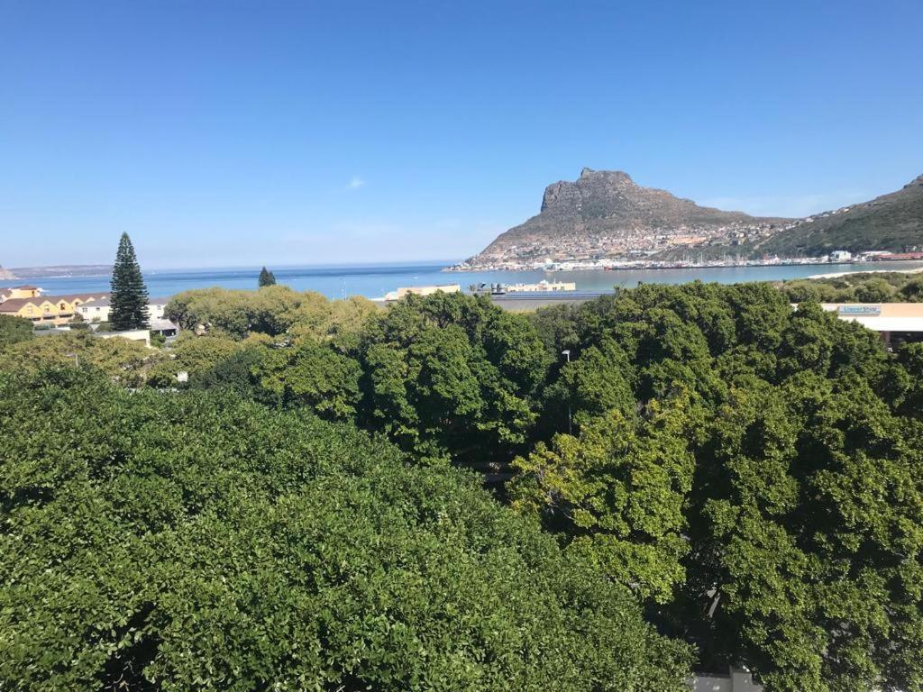Chapman'S Peak, Loft Mit Sea-Und Mountainview Lägenhet Hout Bay Exteriör bild
